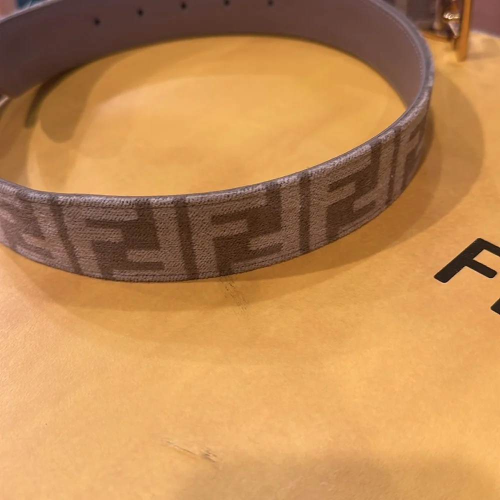 Fendi Brown and Gold women Belt Bag - Picture 11 of 17